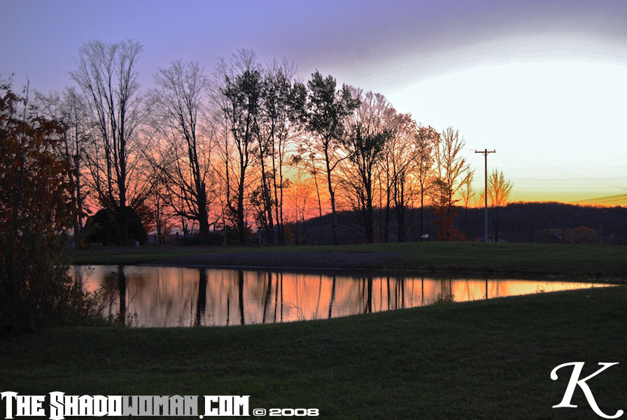 Click here to go to the Gallery containing this image