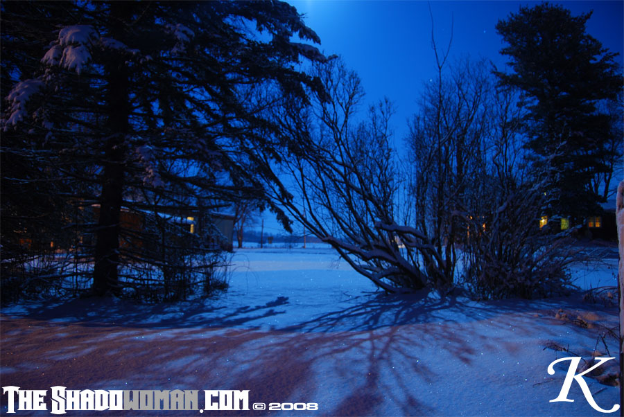 Click here to go to the Gallery containing this image