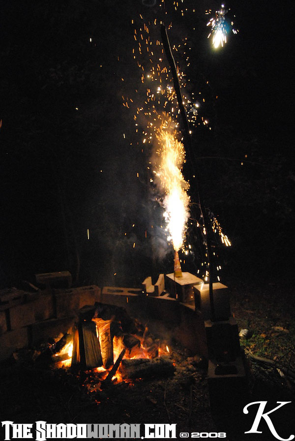 Click here to go to the Gallery containing this image